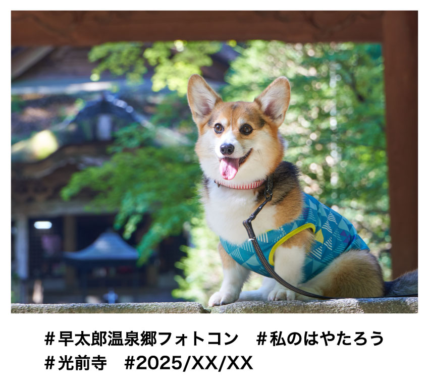 投稿例2
